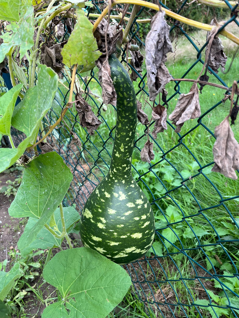 Gartenanlage Bautzen Strehla Sehenswertes